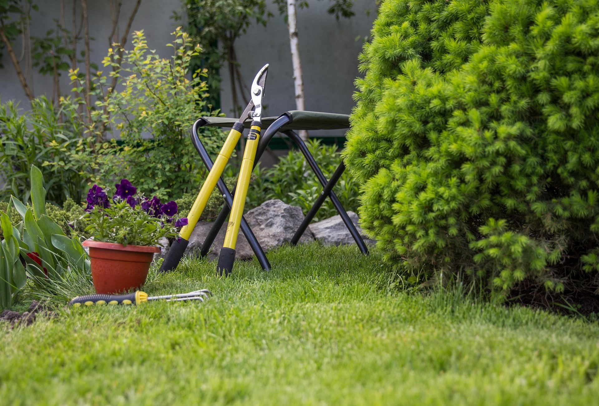 Garden shears and tools in a manicured South African garden