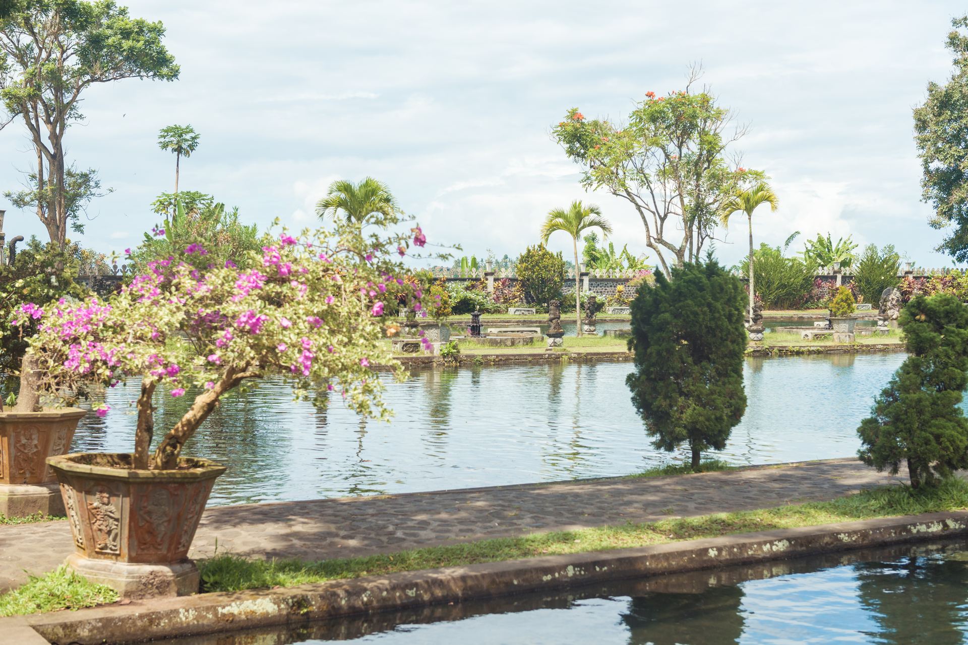 Beautiful manicured garden with flowering trees and water feature
