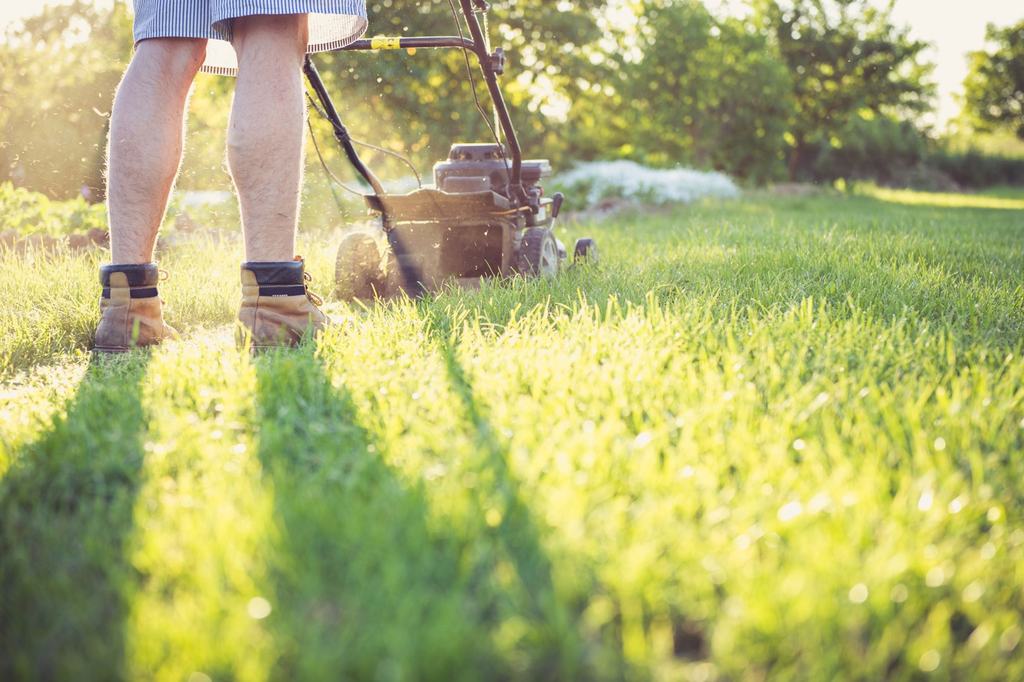 A lawn being mowed in late-afternoon sun